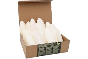 Sepia King Sepiaschalen Premium - Hochwertige Kalzium u. Vitaminversorgung, Nahrung, Futter für Reptilien, Schildkröten, Bartagamen, Vögel - Sepia Schalen Terrarium Zubehör - 12 Stück