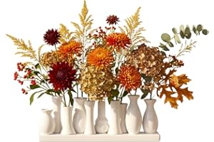 ‎JINFA Jinfa Vasen Set Weiß - 10 kleine Blumenvasen auf Sockel - Minivasen aus Keramik Deko Vasenset für Tischdeko - Moderne Miniatur Keramikvasen Ensemble für einzelne Blumen, Trockenblumen, Pampasgras