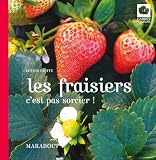 Image de Les fraisiers c'est pas sorcier !