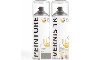 ipixline Kit Peinture Carrosserie Voiture - Bombe de Peinture 400 ml et Vernis Brillant 1k 400 ml - Pack Spray Aérosol Retouche Auto Moto pour Citroen - Gris Rose - AC136