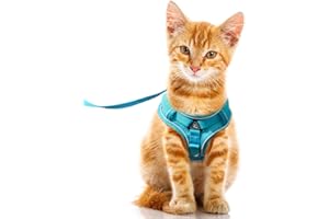 FEimaX Arnes para Gato Antiescape Ajustable Arnés Gatos con Correa Nylon, Chaleco de Malla Suave con Tira Reflectante Chaqueta de Caminar para Perros Gatos Pequeños (M, Cían)