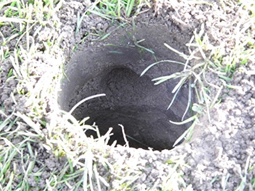 Maulwurfshügel-Ex - 3