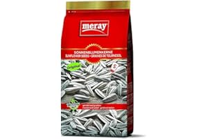 ‎MERAY SONNENBLUMENKERNE DAKOTA geröstet & gesalzen von meray, 12x250g