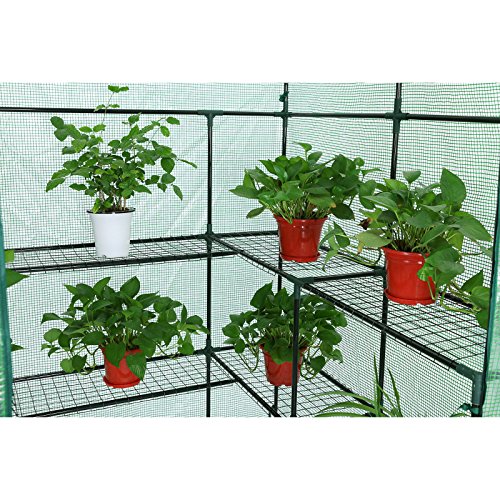 Songmics Foliengewächshäuser Tomatenhaus mit 140 g/m² PE 143 x 143 x 195 cm GWP12L - 5