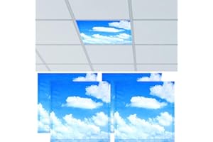 Haishell 4 Pcs 2 x 2 Feet Fluorescent Light Covers for Ceiling Lights Shade Panel Ceiling Light Covers Sky Cloud Reducing Harsh Glare Flicker Filters for Classroom Office Home Hospital Studio