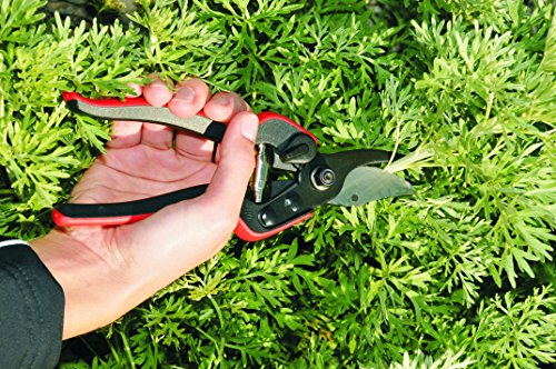Felco Gartenschere Essentiel, Mehrfarbig - 3