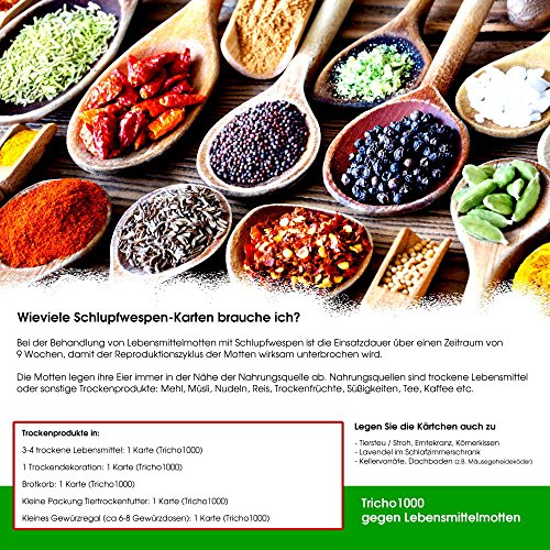 Schlupfwespen gegen Lebensmittelmotten 10 Stück 1000-er Kärtchen 3 Lieferungen - 4