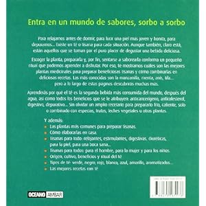 Tisanas y tés para el bienestar: Entra en un mundo de sabores, sorbo a sorbo