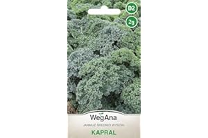 WegAna Kale Kapral 2g, Semillas de hortalizas robustas, Semillas de hortalizas, Semillas de cultivo