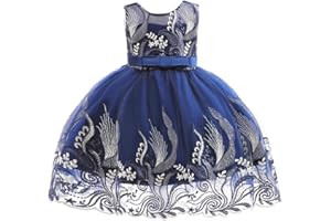 Lenefu Girls Party Dress, Birthday Girl Dresses, Suitable Birthdays Flower Girl Dresses for Weddings and Other Special Occasions for Ages 2-10
