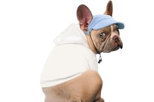 BASVII Cappello da Baseball per Cani in Morbido Velluto a Coste, Dimensioni regolabili, Come Abbigliamento per Cani da Compagnia, per la Decorazione e la Protezione Solare (M, Blu)
