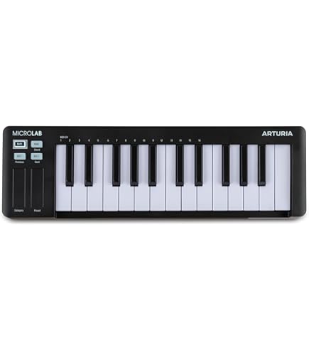 Korg Microkey2AIR-49 klavye : Amazon.com.tr: Müzik Enstrümanları ve DJ