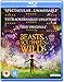 Les Bêtes du Sud sauvage [Blu-ray] [Import italien]