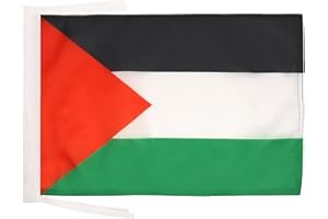 AZ FLAG - Drapeau Palestine - 45x30 cm - Pavillon Palestinien 100% Polyester Avec Deux Cordelettes - 20g