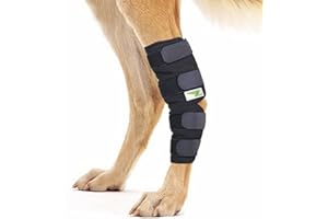 RockPet Órtesis Curadora Articulación Pata Trasera de Perro Envoltura Canina de Corvejón (M)