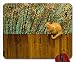 Produktbild Red Cat On Fence wallpaper mouse pad computer mousepad