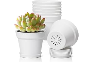 T4U 10CM Plastic Plant Pots 6-Pack, Small Flower Pot with Drainage Hole and Saucer, Classic Indoor Outdoor White Plant Pots for Succulent, Snake Plant, Aloe Vera and All House Plants