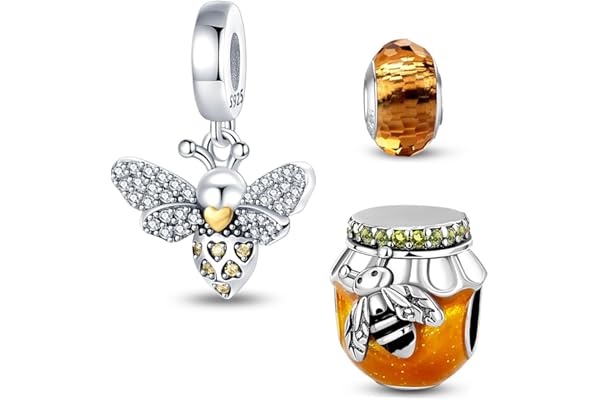 HappyStar Charme Argent Sterling 925 Femmes Perles Charm,Compatible PourPandora & Européen les bracelets et les colliers Charms de combinaison, cadeau pour les sœurs et les amoureux