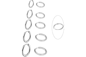 BVLAGIDA 5 Pares Pendientes Aro para Mujer Hombre, 316L Pendientes Acero Quirurgico, Piercing Helix Cartílago, Pendientes de Aro, 8/10/12/14/16mm