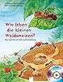 Wie leben die kleinen Waldameisen?: Eine Geschichte mit vielen Sachinformationen (Sachbilderbuch)