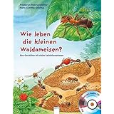 Wie leben die kleinen Waldameisen?: Eine Geschichte mit vielen Sachinformationen (Sachbilderbuch)