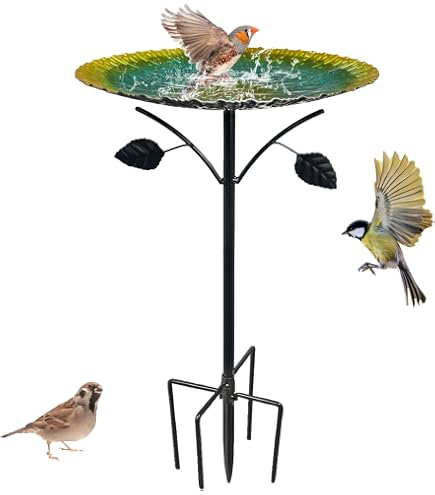 Abreuvoir Oiseaux Wildlife Home Fonte - Décor Grenouilles, Résistant Gel