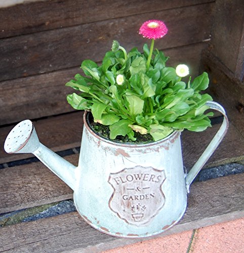 Gießkanne Blumentopf Flowers & Garden antikgrün H 12cm - 7