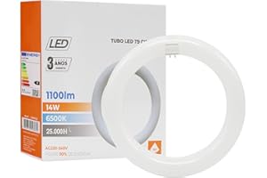 ‎MAXLED, LIGHT IS LED! Maxled, Light is Led! LED TUBE T9 Ø21.5CM Ringförmige LED Röhre 14W Kaltweiß 6500K 1100LM G10Q Sockel Fassung Hell Leuchtröhre PC Deckenleucht Alternative für Klassische T9-Leuchtstofflampen