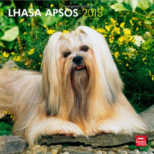 Lhasa Apsos 2013 - Lhasaterrier - Original BrownTrout-Kalender
