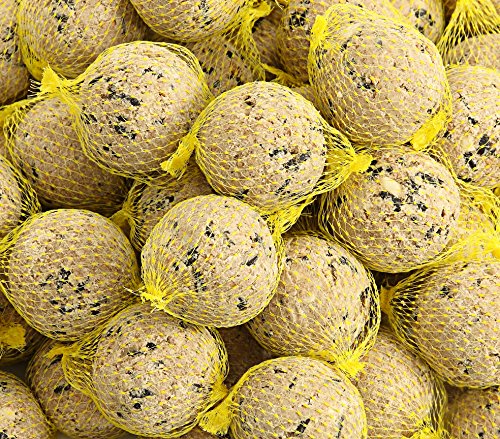 Dehner Natura Wildvogelfutter, Meisenknödel, mit Netz, 100 Stück (10 kg) - 4