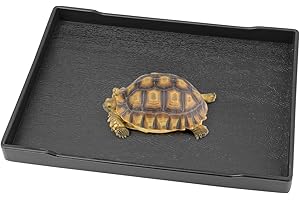 Qerutk Reptile Water Dish, Tortoise Water Bowl, Reptile Accessories, Rectangular Tray, Snake Water Bowl Ideal for Bathing Feeding Iguana - M Size Black Shallow