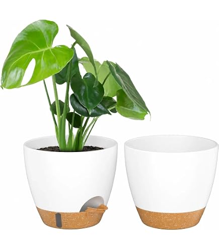 ZMTECH 25 Cm Hangende Plantenpot Set Van 2 – Met Zichtbaar Waterpeil, Afneembare Schotel En Drainagegaten – Donkergrijs, Voor Binnen En Buiten