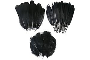 GGISUI 250 Piezas Plumas Negro Naturales Plumas de Ganso Decoracion 3 tamaños para Bricolaje Atrapasueños Decoración Ceremonia Boda Disfraces de Halloween Alas de Angel