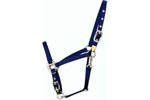 Hamilton 3/4-Inch Nylon Arabian Horse Halter with Adjustable Chin and Throat Snap, Average, 800 to 1100 pounds, Navy Blue