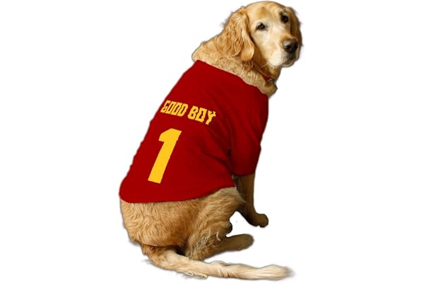 Ruse Dog T-Shirt Good Boy Jersey No.1 Printed Basic Crew Neck Half Sleeves Pet Cotton Tees Apparel/Clothes Gift for Dogs - Ideal for Monsoon & Winter (Red, XL) (Retrievers, Labs etc)