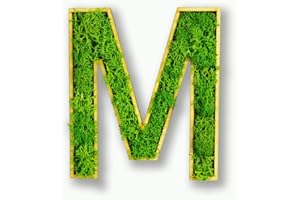 ‎MOOSLY Moosly® Moosbild - M - mit Rahmen aus Holz, Moos Deko Buchstaben Zeichen Symbol Zahl Holzbuchstabe mit echtem Islandmoos Wandtattoo Wandsticker Wandbild selbstklebend Wohnzimmer (114 M)