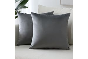 Sungeek Confezione da 2 Federe in Velluto, Fodere per Cuscini Decorativi Morbidi Copricuscini Divano di Lusso per Divano Letto Soggiorno Camera da Letto (40x40cm, Grigio Scuro)