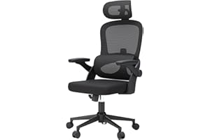 SIHOO M102C Sedia Ergonomica da Ufficio con Braccioli Ribaltabili, Supporto Lombare Regolabile, Design Ergonomico per Scrivania e Uso Domestico - Nero