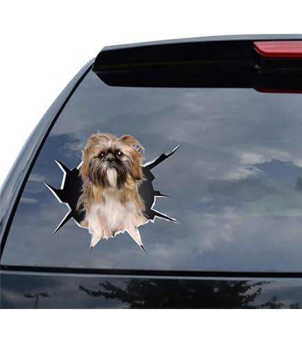 Decalcomania 4 Pollici Non Riflettente Pompiere Maltese Maltese - Foto 2