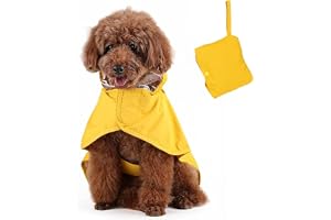 Qpets Dog Rain Coat, Anti-wind & Reflective, Clear PVC, Elastic, Machine Wash, 2 Pack, Autumn, Spring, Winter