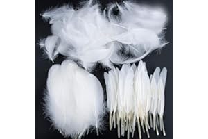 Pveath Federn zum Basteln, 250 Stück, farbige Federn, auffallende Federn zum Basteln, Traumfänger, natürliche Handwerksfedern für Hochzeit, Party, Dekorationen (3 Größen)