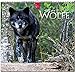 WÖLFE: Original Stürtz-Kalender 2018 - Mittelformat-Kalender 33 x 31 cm by 