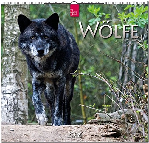 WÖLFE: Original Stürtz-Kalender 2018 - Mittelformat-Kalender 33 x 31 cm