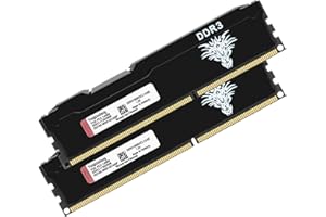 YONGXINSHENG DDR3 16GB Kit (2x8GB) Desktop Ram 1866MHz PC3-14900 Dimm Non-ecc Unbuffered 2Rx8 Dual Rank 240 Pin CL13 PC Computer Memory Udimm Componenti Memoria Upgrade Module Kit (Nero)