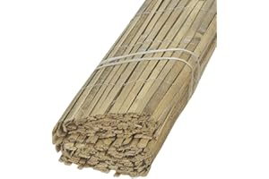 AUBRY GASPARD Canisse en bambou naturel - 1 x 5m [A l'unité]