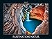 Faszination Natur 2017 - Fascinating Nature - Bildkalender quer (56 x 42) - Landschaftskalender by 