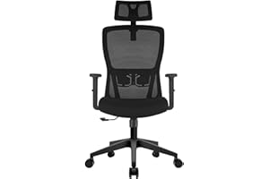 Durrafy Office Chair, Desk Chair with Adjustable Headrest, Lumbar support and Liftable Armrest, High Back Ergonomic Office Chair, Breathable Mesh Backrest for Comfy, Computer Chair for Home/Office