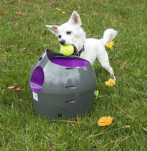 ball throwing device for dogs