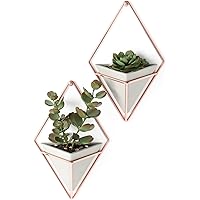 Umbra Trigg Jardinière Suspendue et Décoration Murale Géométrique Pour