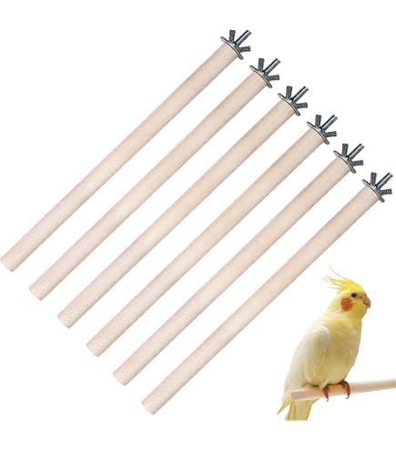 Kerbl Pet Holzsitzstangen 4 Stück – 35 Cm, 2x 10 Mm & 2x 12 Mm, Mit Kunststoffbefestigung, Für Vogelkäfige